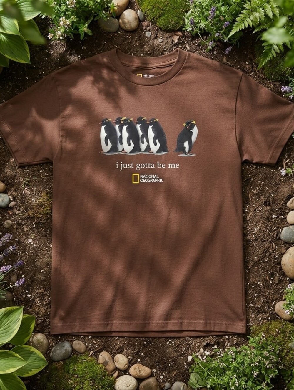 National Geographic penguin t-shirt